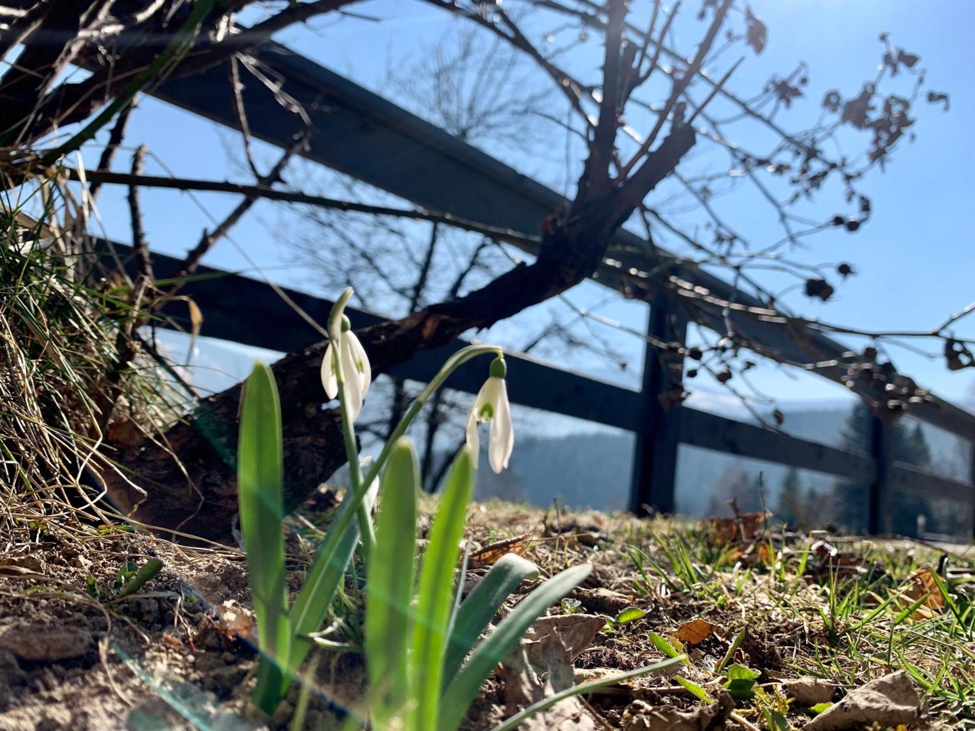 Romanka Zabnica Dış mekan fotoğraf